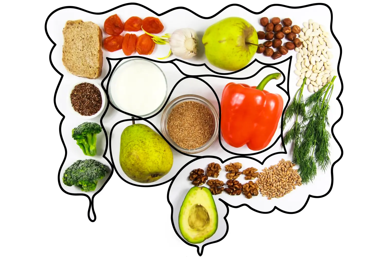 Gesundes Essen. Kreative Collage mit gezeichnetem Darm und gesunden Produkten für das Wohlbefinden auf weißem Hintergrund
